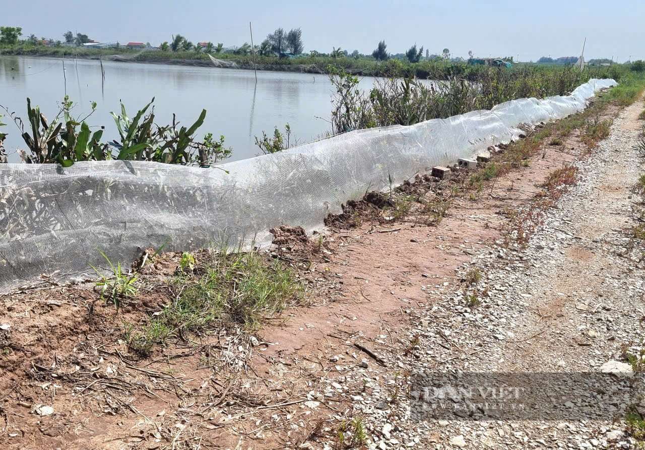 Ninh Bình: Hàng trăm hộ dân Kim Đông “trắng tay” sau bão Wipha, thiệt hại hơn 18 tỷ đồng