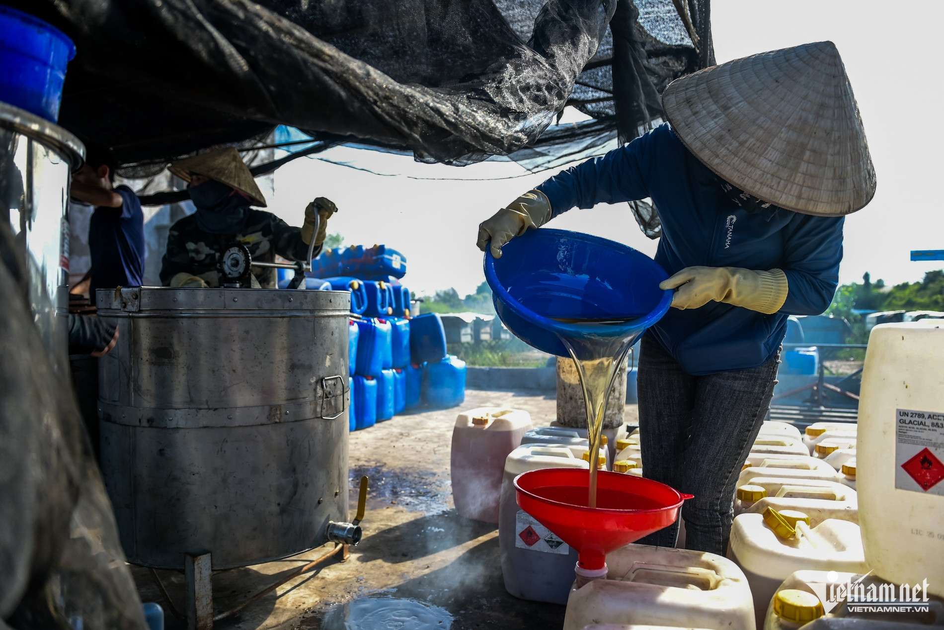 Săn ‘mật của biển’ ở Ninh Bình, người dân bỏ túi hàng trăm triệu mỗi vụ