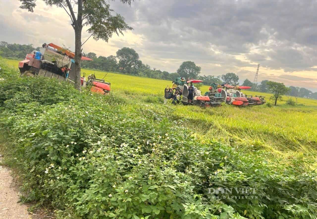 “Ôm” ruộng bỏ hoang, biến thành “cánh đồng trù phú”, Nông dân Việt Nam xuất sắc đến từ Ninh Bình có doanh thu 12 tỷ/năm