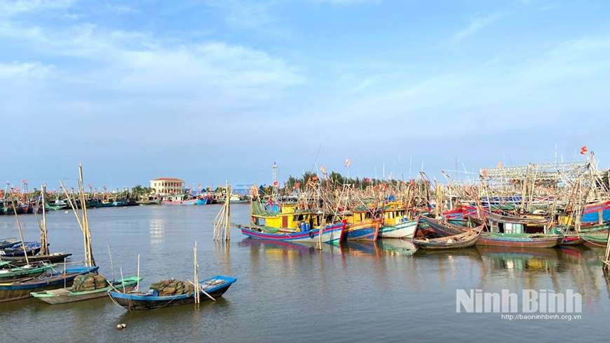 Ninh Bình: Giám sát, ngăn chặn tình trạng khai thác hải sản trái quy định