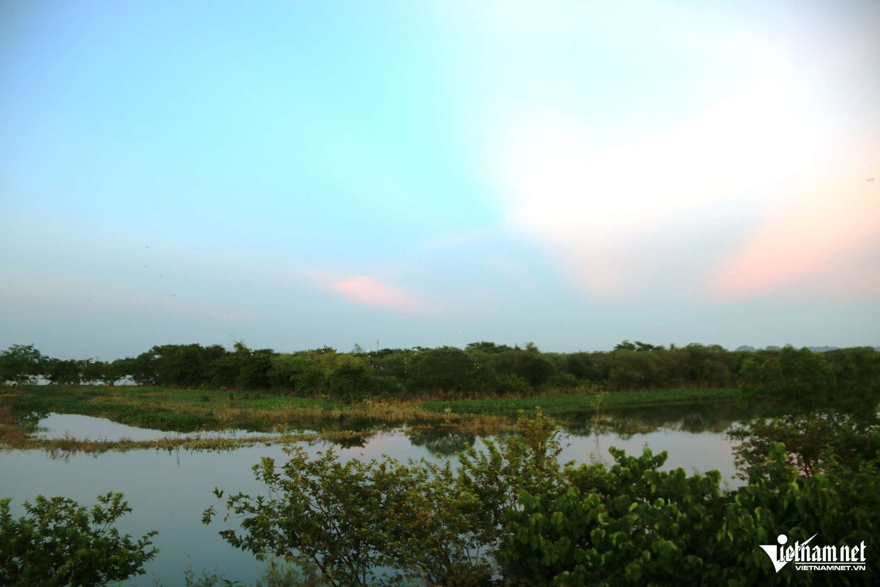 ‘Gã khùng’ ở Ninh Bình hơn thập kỷ làm ‘cha nuôi’ của đàn cò trắng trên sông