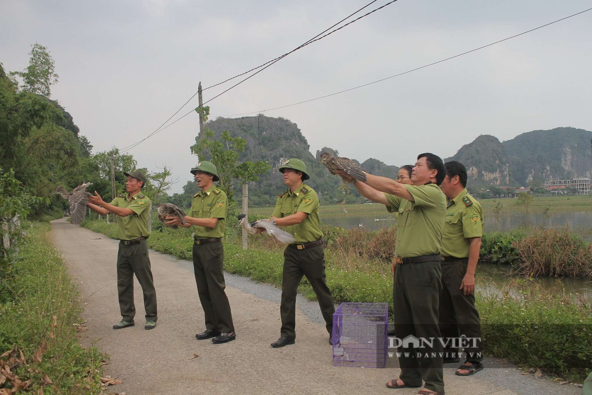Ninh Bình ra chỉ thị “siết” quản lý, bảo tồn các loài chim hoang dã, di cư