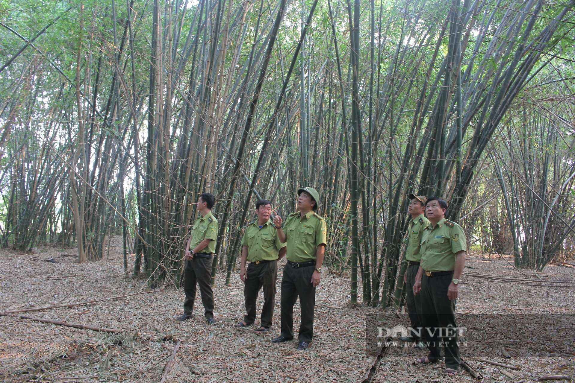 Ninh Bình ra chỉ thị “siết” quản lý, bảo tồn các loài chim hoang dã, di cư