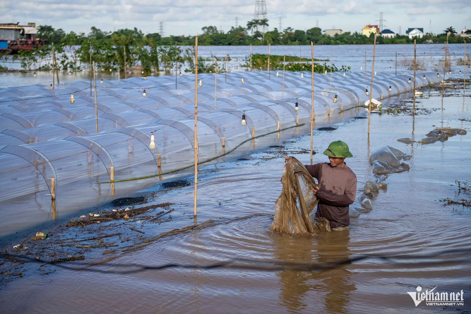Chạy đua với nước lũ, người dân vựa hoa lớn nhất Ninh Bình cắt bán tháo từng bó