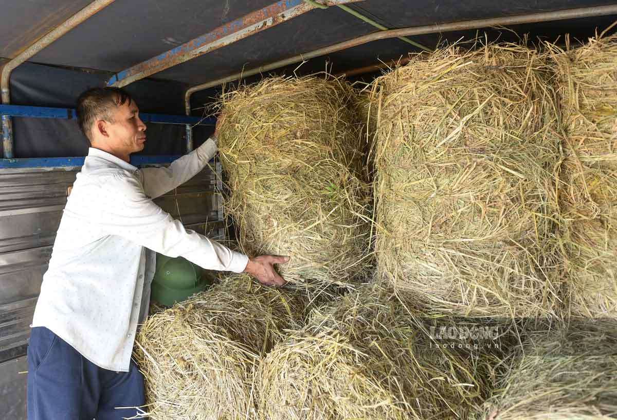 Sau mùa gặt, người dân Ninh Bình kiếm tiền triệu từ thu hoạch rơm rạ