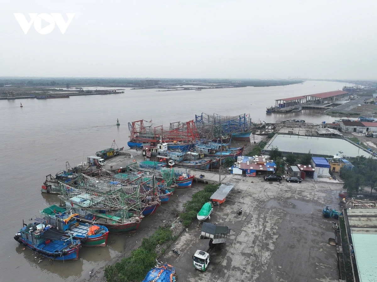 Lá chắn thép giữ vững “vùng xanh” IUU ở Ninh Bình