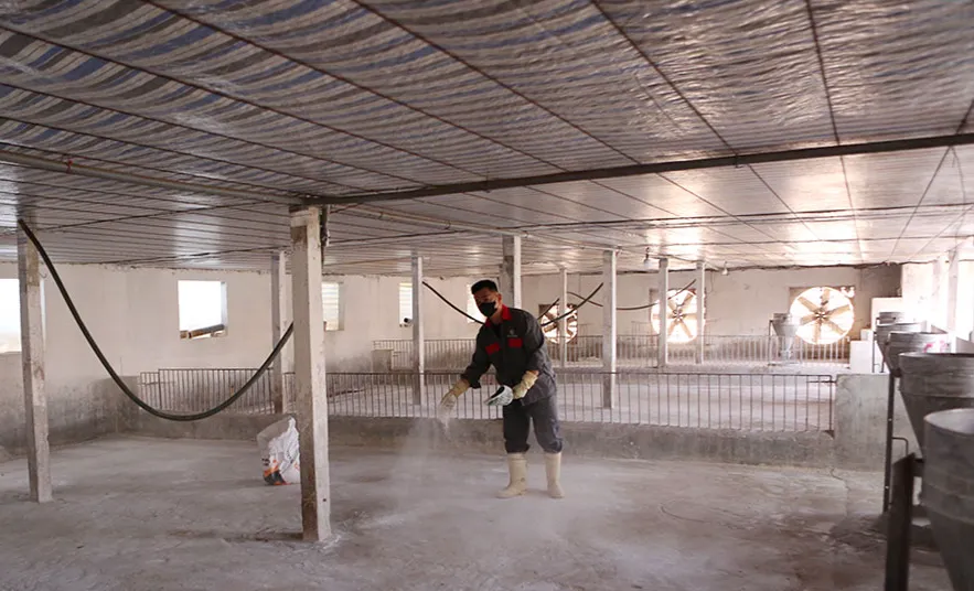 Dịch tả lợn châu Phi phức tạp: Ninh Bình lập chốt kiểm dịch, yêu cầu không tái đàn khi chưa kiểm soát