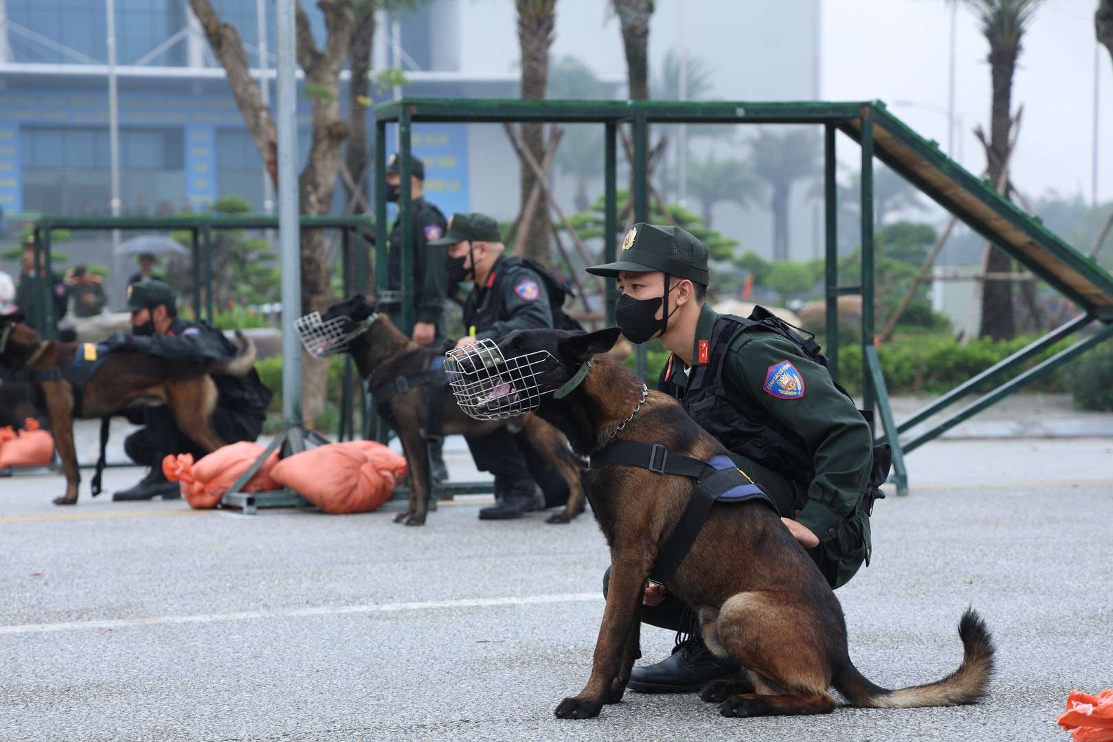 Ninh Bình: Ra mắt lực lượng Cảnh sát cơ động tinh nhuệ, xử lý tình huống phức tạp về an ninh, trật tự