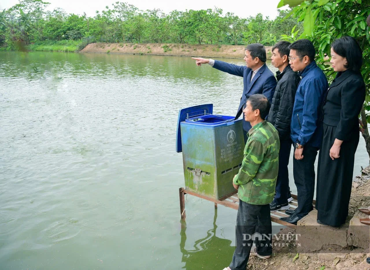 Nông thôn mới Ninh Bình (sau sáp nhập Nam Định, Hà Nam), năm 2025 thu nhập bình quân gần 90 triệu đồng/người