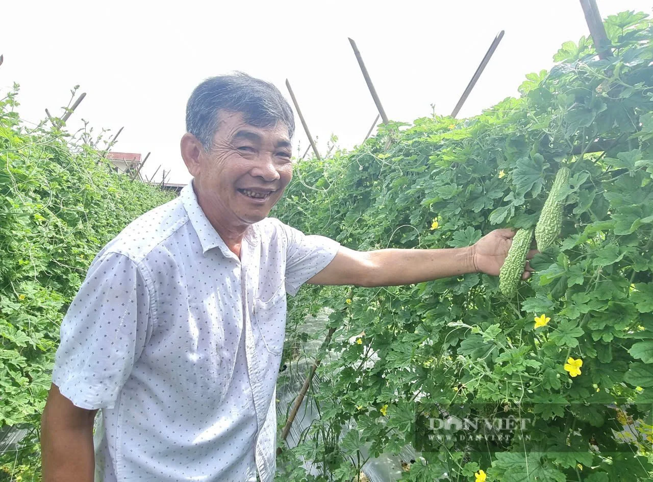 Nông thôn mới Ninh Bình (sau sáp nhập Nam Định, Hà Nam), năm 2025 thu nhập bình quân gần 90 triệu đồng/người