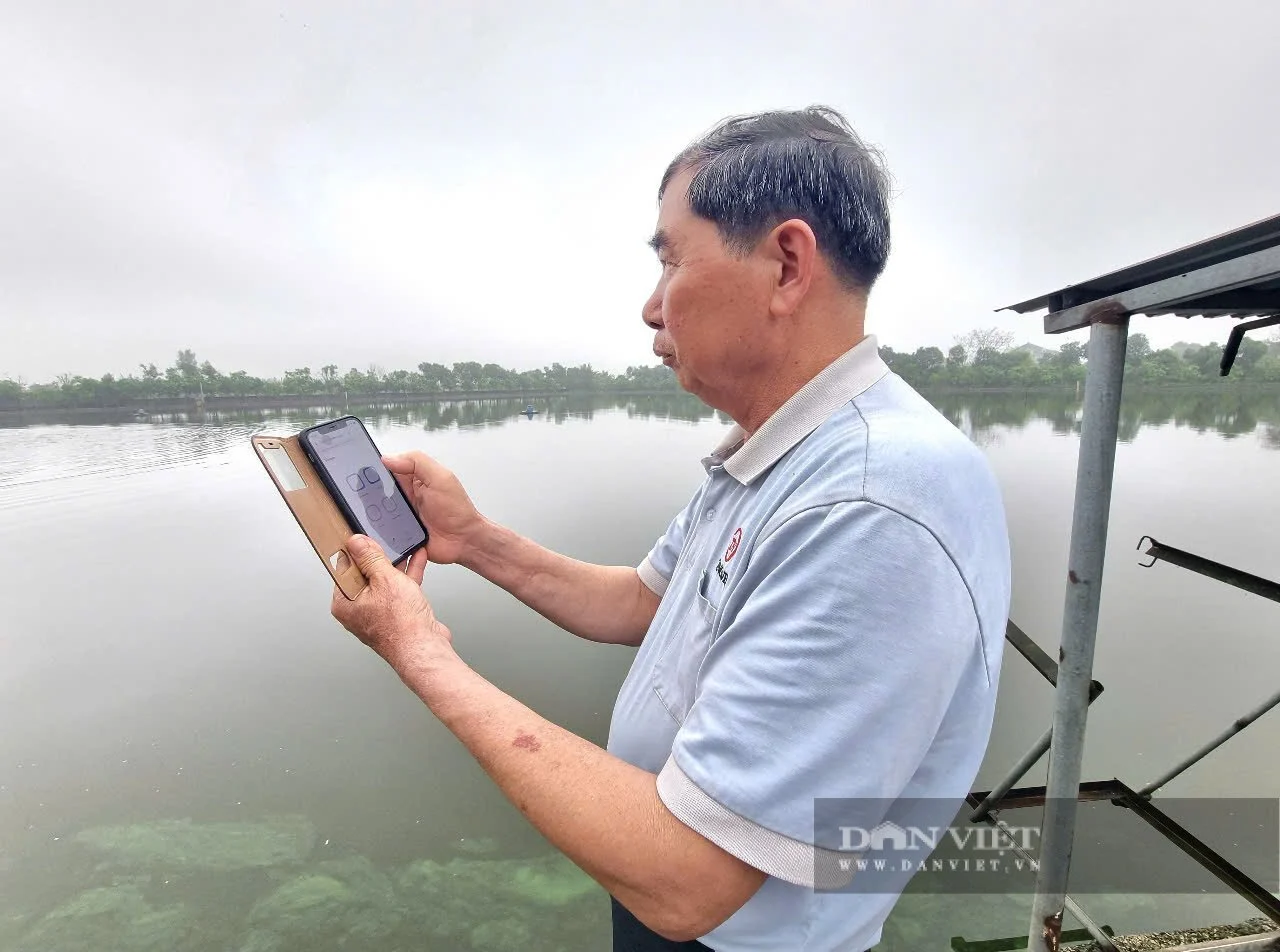 Nông thôn mới Ninh Bình (sau sáp nhập Nam Định, Hà Nam), năm 2025 thu nhập bình quân gần 90 triệu đồng/người