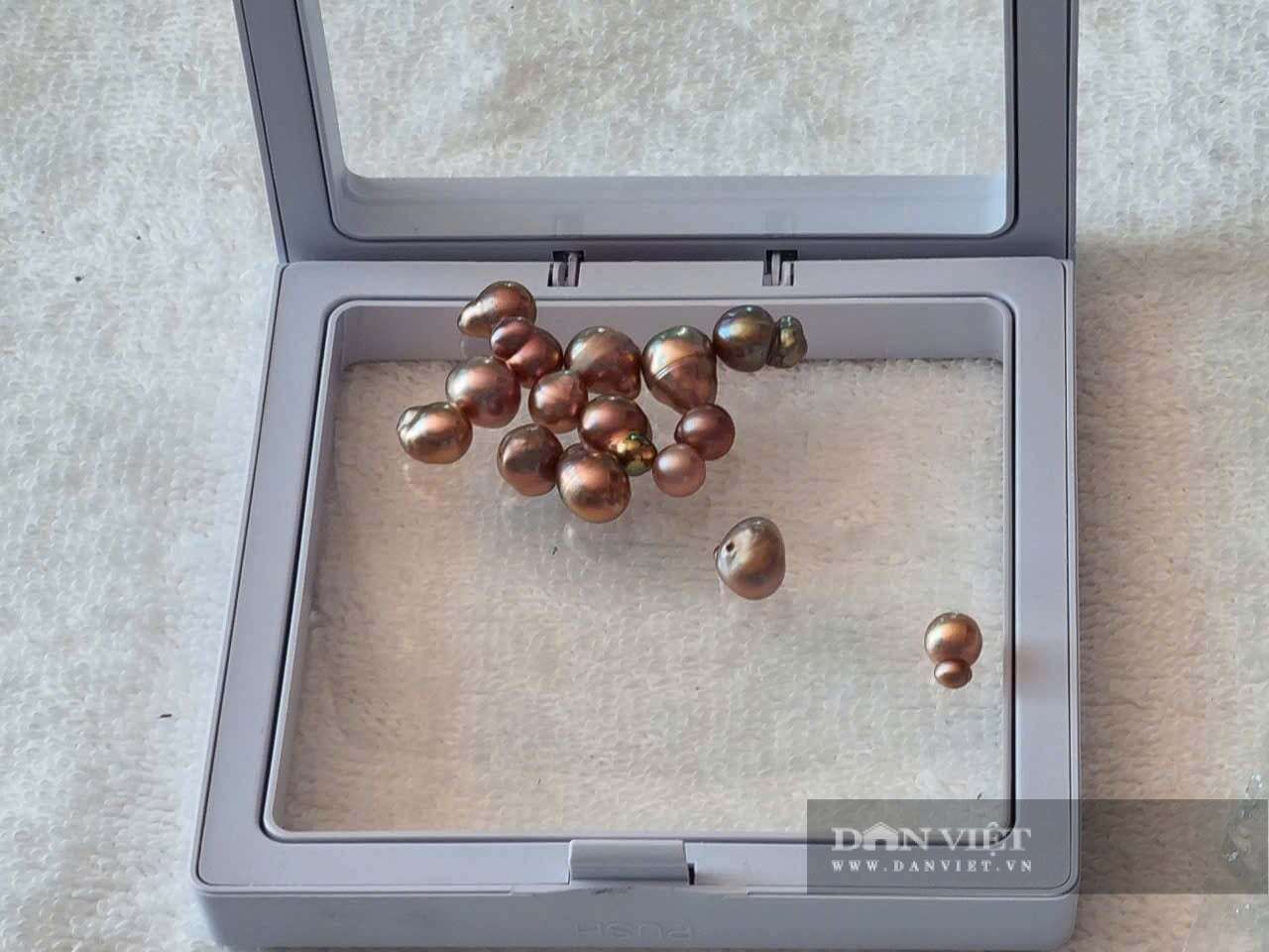 Nông thôn mới Ninh Bình (sau sáp nhập Nam Định, Hà Nam), năm 2025 thu nhập bình quân gần 90 triệu đồng/người