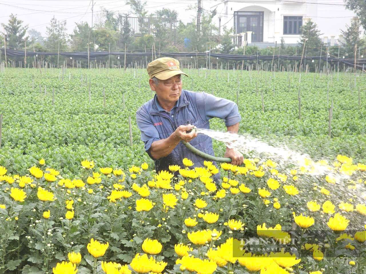 Làng hoa Hồng Hà của tỉnh Ninh Bình, trước thuộc Nam Định cũ, người dân trồng hoa gì mà thu 900 triệu/ha/năm?