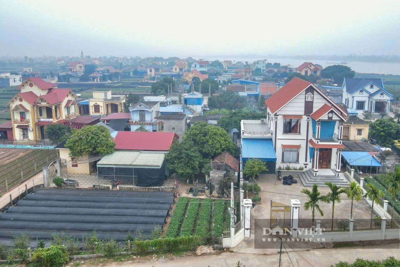 Làng hoa Hồng Hà của tỉnh Ninh Bình, trước thuộc Nam Định cũ, người dân trồng hoa gì mà thu 900 triệu/ha/năm?