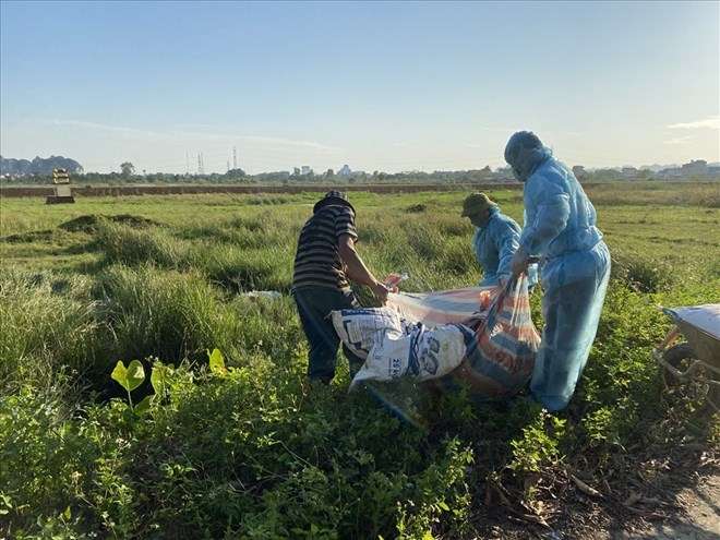 Dịch tả lợn bùng phát, Ninh Bình tăng cường kiểm soát giết mổ dịp cuối năm