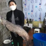 ca-tram-den-kho-dac-san-dat-nghia-hung-tinh-nam-dinh-nay-la-tinh-ninh-binh-sau-sap-nhap-1-1837