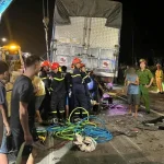 image--1--98570437483779914492807-42949856695302322022505