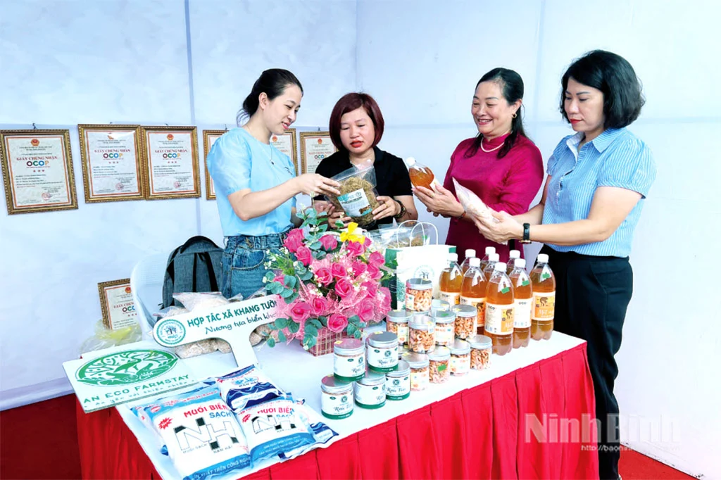 Nông thôn mới nâng cao, nông thôn mới kiểu mẫu ở tỉnh Ninh Bình đang có nơi xã giàu hơn, nhà to đẹp, làng thông minh