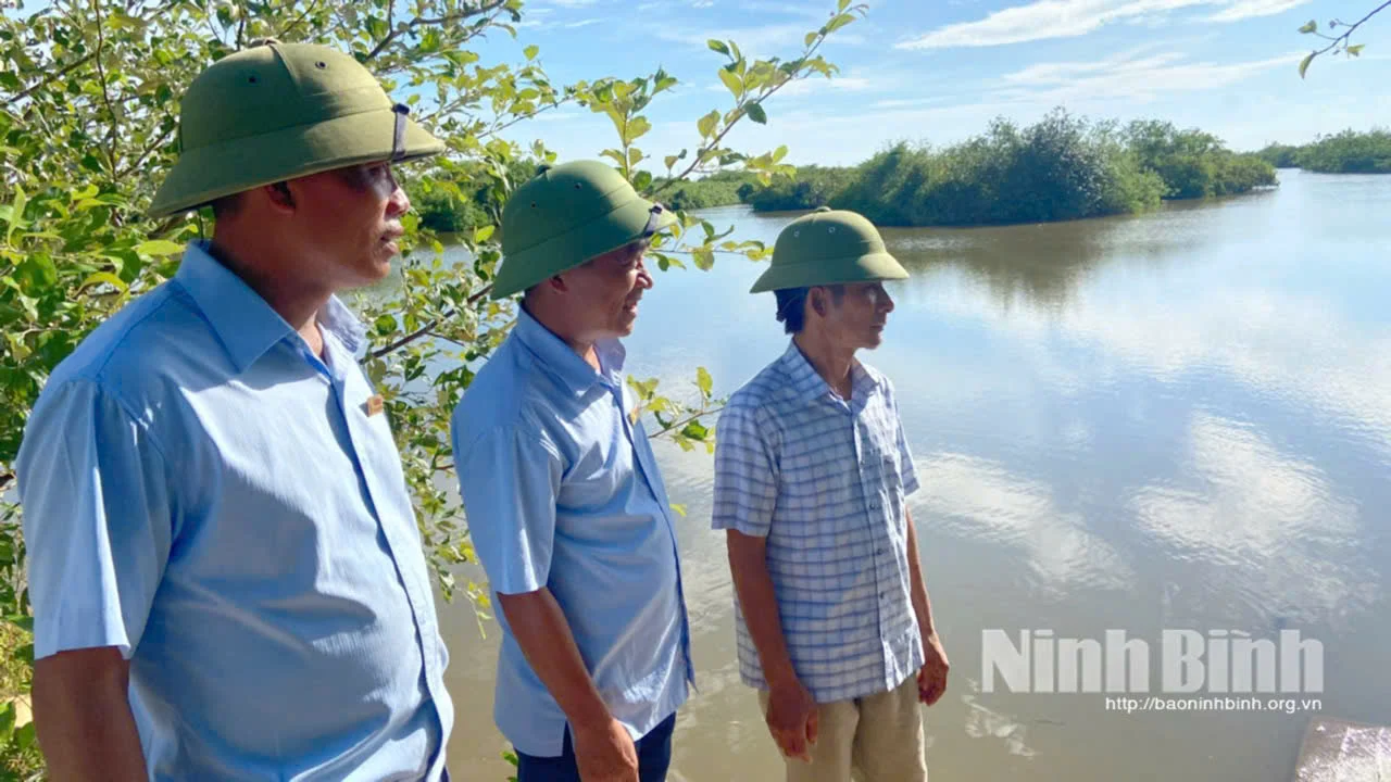 Xã Giao Thủy, tỉnh Ninh Bình (Nam Định trước đây) có một “khu rừng”, mùa hè đón khách “nội”, mùa đông đón khách “ngoại”