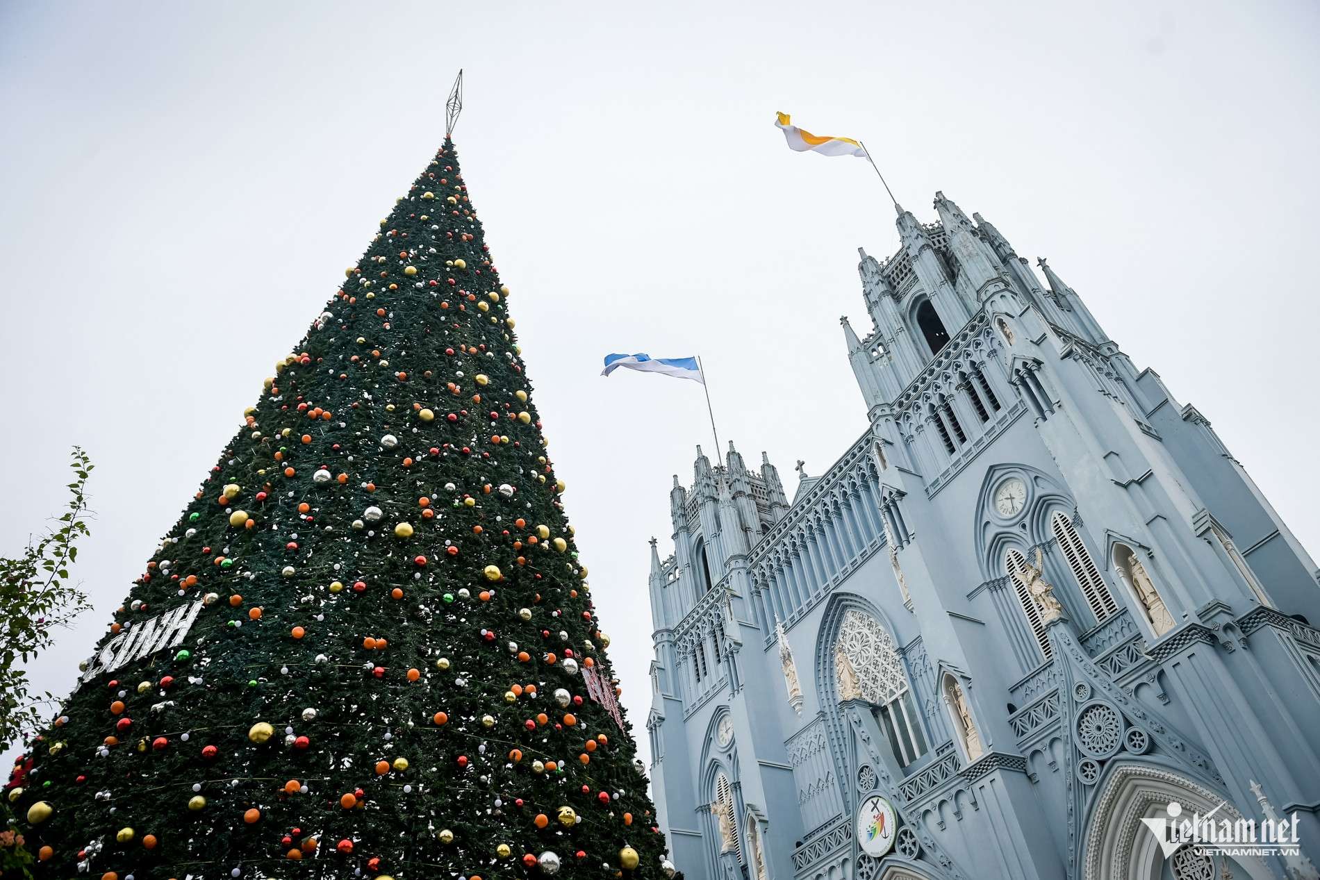 Người dân tất bật làm hang đá khổng lồ từ hàng vạn vỏ bao