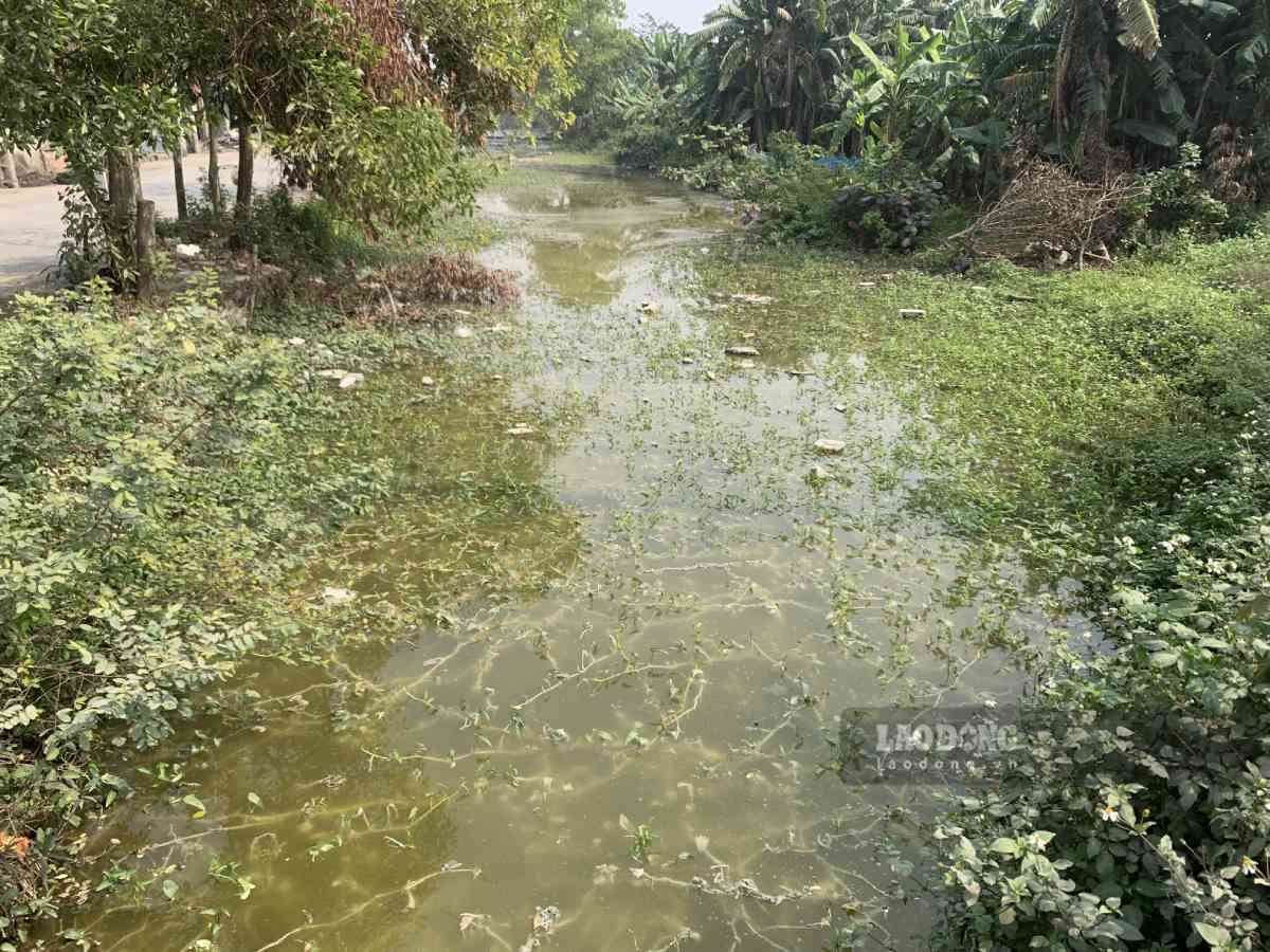 Làng nghề tái chế nhôm triển khai lộ trình xử lý ô nhiễm