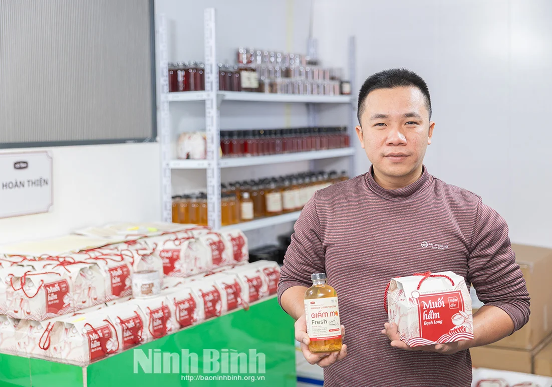 Trai làng cổ Bách Cốc đất Nam Định, nay là tỉnh Ninh Bình lập nghiệp với dấm mơ làm từ trà cổ xưa, muối hầm kiểu mới lạ