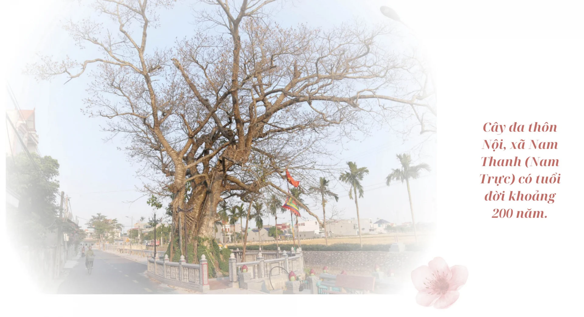 Làng cổ Nam Định (nay thuộc tỉnh Ninh Bình sau sáp nhập), tên làng, tên vùng đất cổ xưa