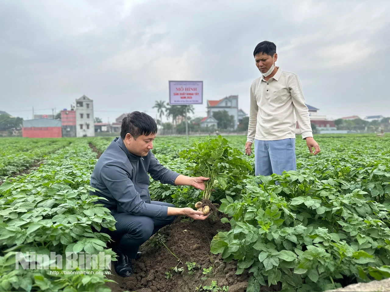 Xã Giao Ninh, tỉnh Ninh Bình (địa phận Nam Định), đường hoa nông thôn mới đẹp mê ly, biển Quất Lâm sẽ là đô thị du lịch