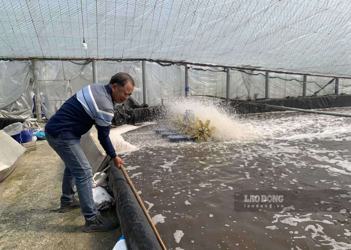 Xã ven biển Ninh Bình chuyển mình sau sáp nhập đơn vị hành chính